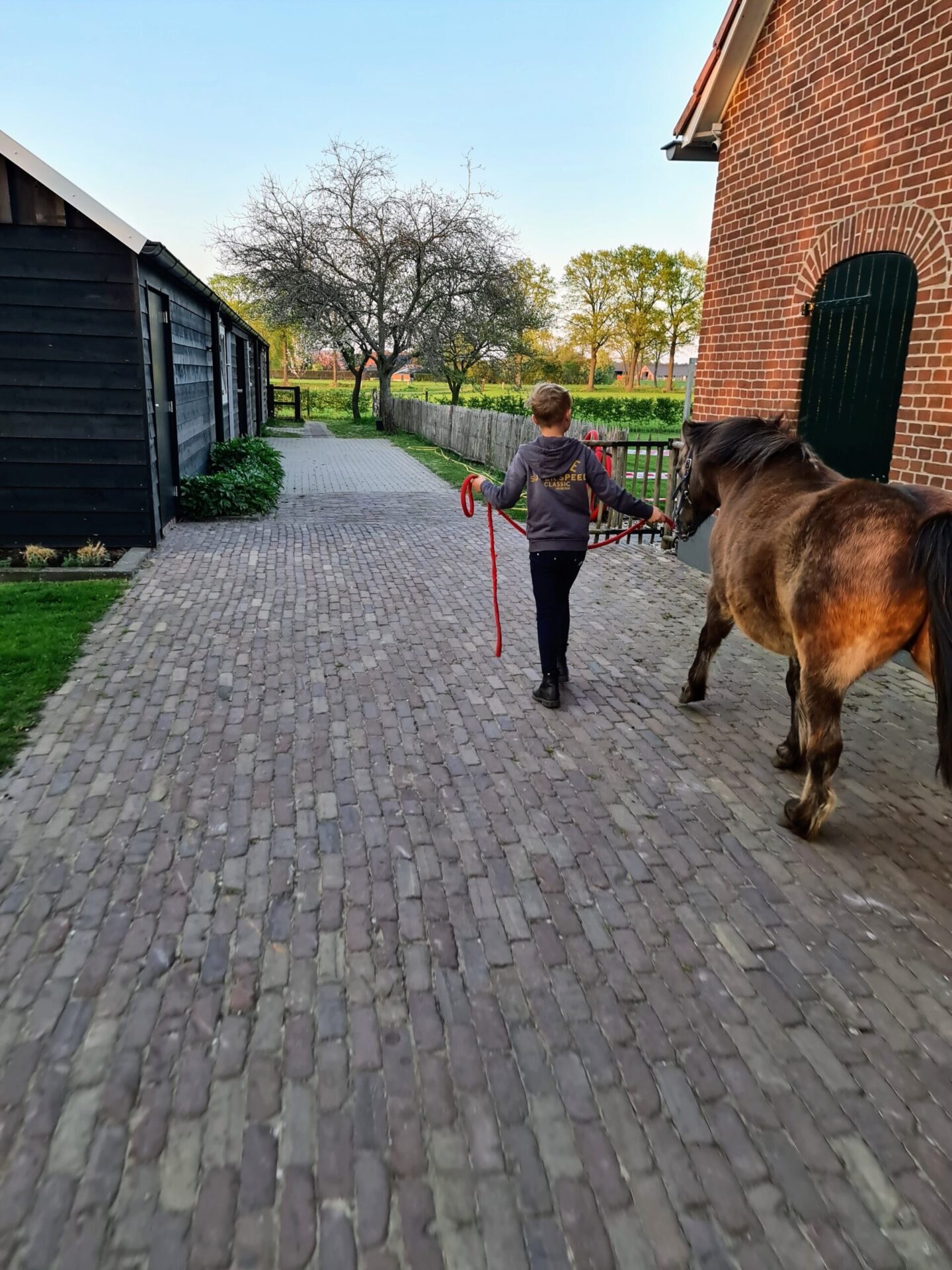 Paardencoaching Achterhoek