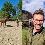 Paardencoaching Achterhoek