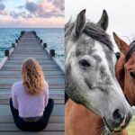 Paardencoaching en ademhalingsoefening